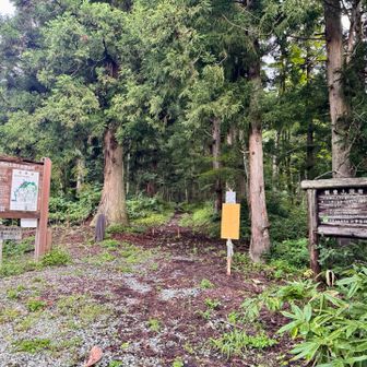 道の駅喜多の郷で車中泊🚐💤AM5:00に御沢登山口に到着。数台分の空きがあり、なんとか駐められました😮‍💨