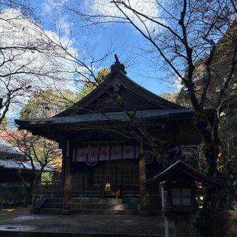 中国の商人が貿易と船旅の成功を祈ったという金刀比羅神社。
山の上にありアクセスが良くないので、人々でお金を出し合って参道を整備したんだそう。お金を出したという人たちの名前は中国名ばかりでした。