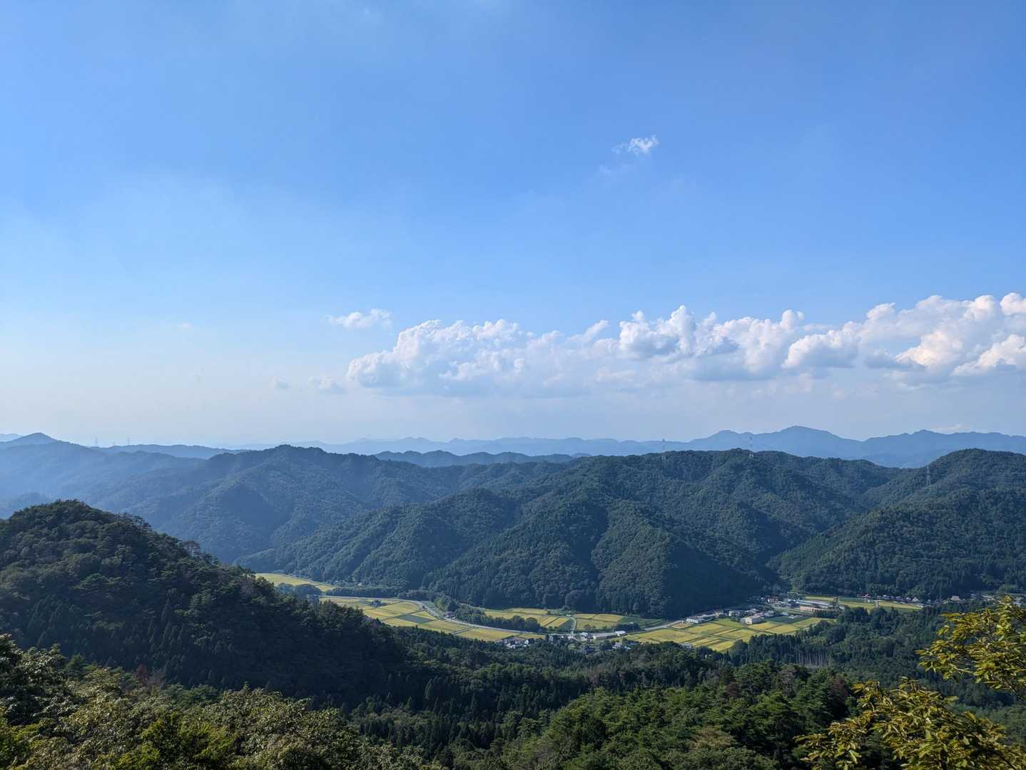 上の山-大野山 周回コースの写真