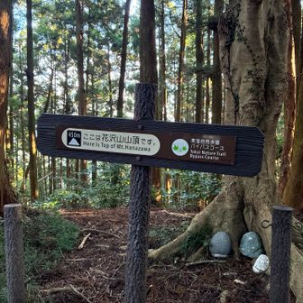 花沢山山頂