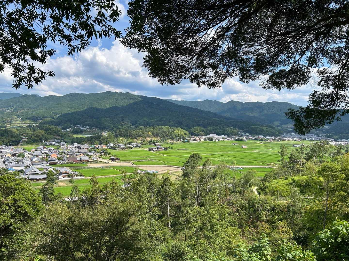 あちこち掘ったら色々出てきそう。