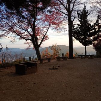 この日はこの時間でも結構登山者有。4人に遭遇。