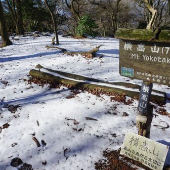 横高山、ここでお昼