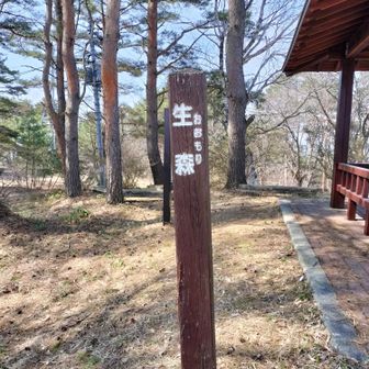 最高点の生森山に到着！