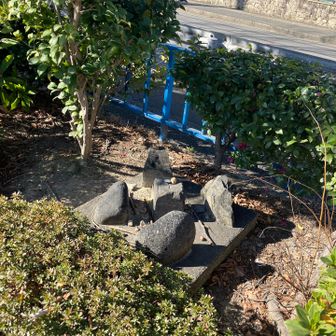 公園に︎👍🏻 ̖́-