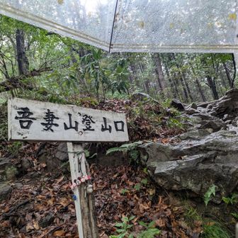 大好きなスヌーピーの傘を差して🫧