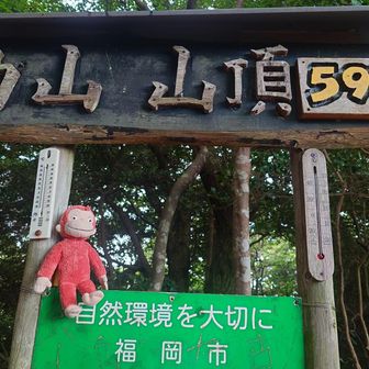 597Mイタダキマシタ!
めちゃくちゃ趣向が凝ってる山頂標識
気温は24℃ムシムシしています。