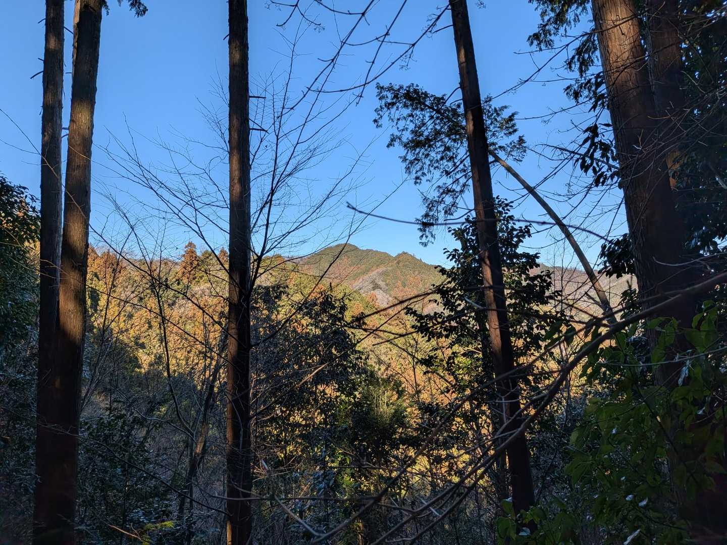 盆前山が見えた‼️
後半戦の1座