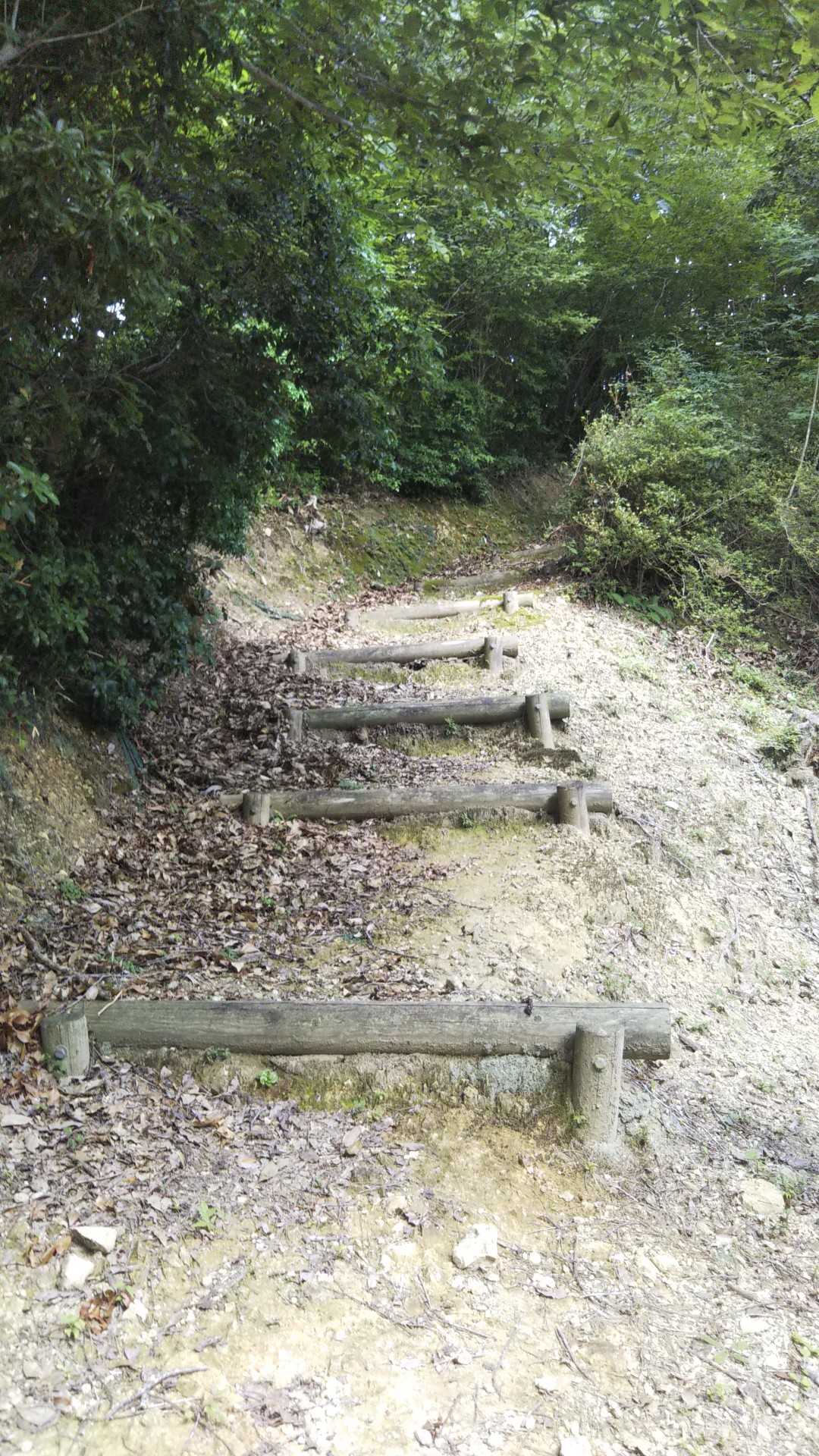 もう少しで山頂に着きます❕