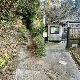 路地脇を入っていく感じが童心に返ったようで楽しい😃