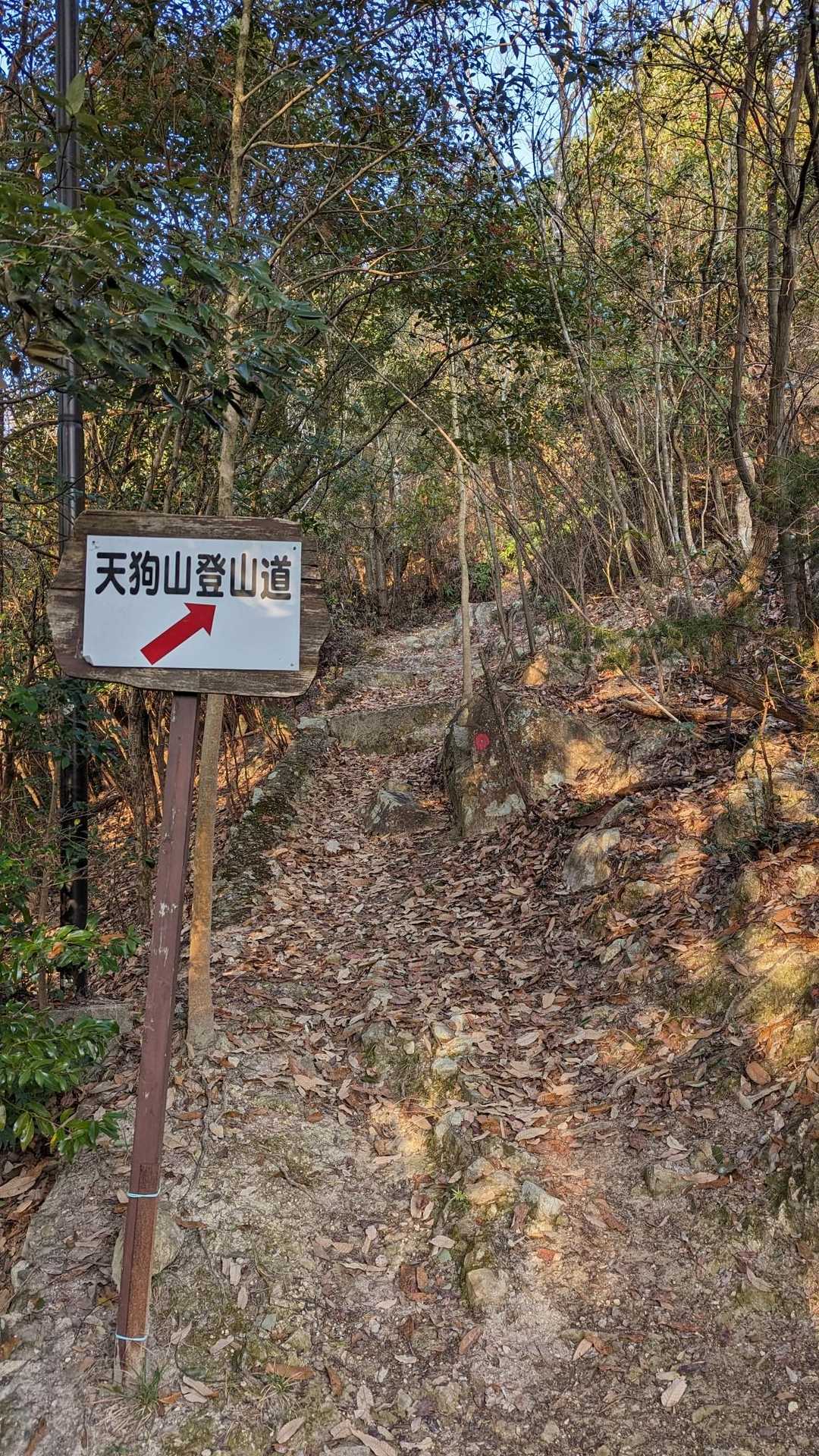 ココカラファイン💨