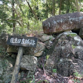 佐生日吉城跡が山頂