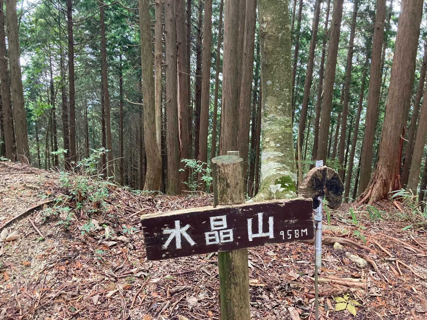 水晶山山頂