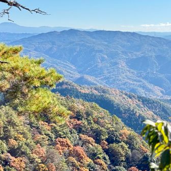 ひらけると絶景！
山頂までもう少し