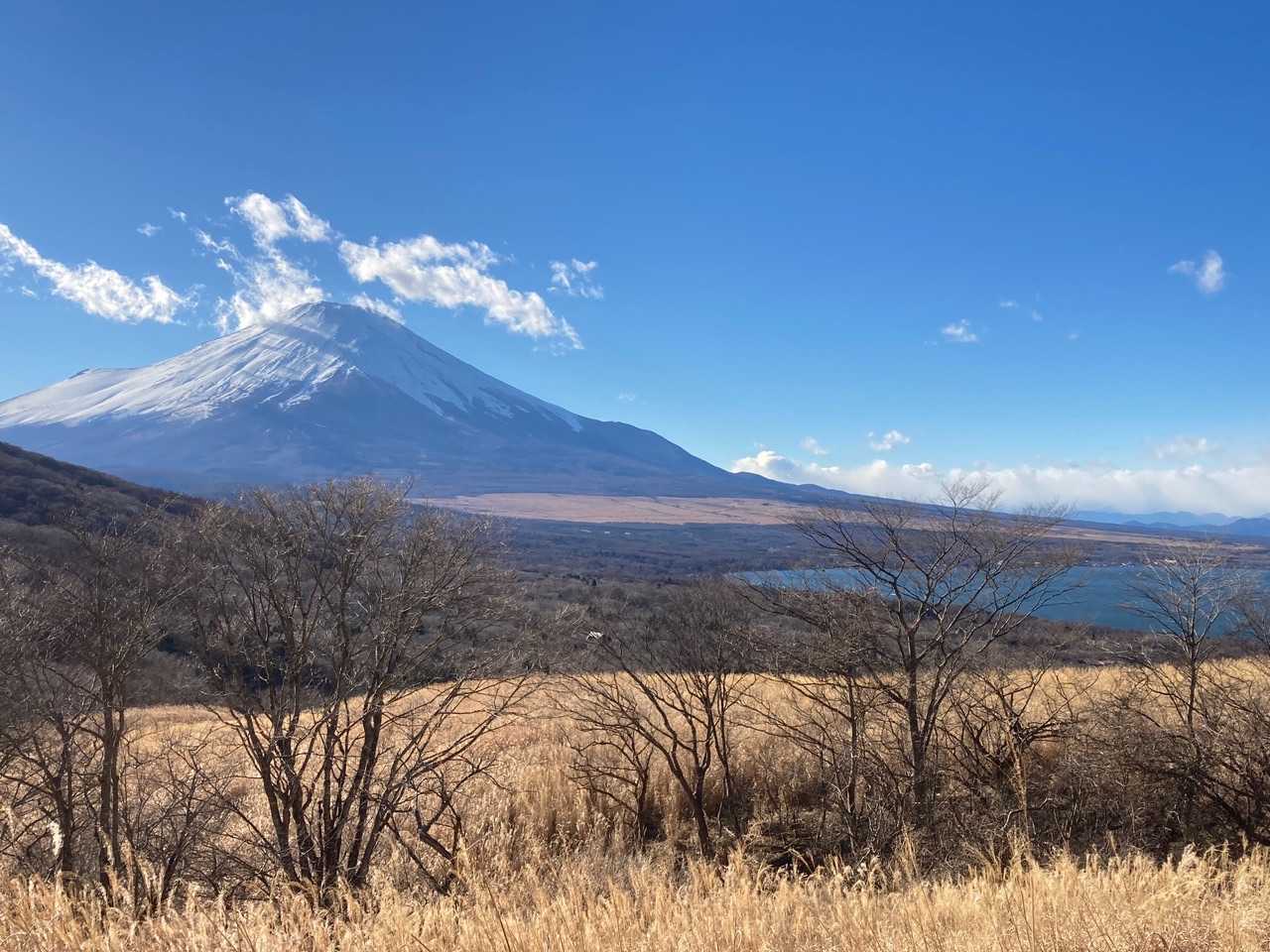 鉄砲木ノ頭-三国峠 周回コースの写真
