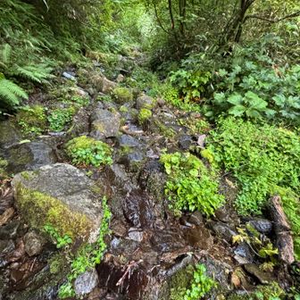 ひたすら岩の急登　険しいねー