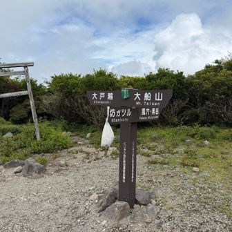 大船山へ。稜線までしんどすぎて写真なし