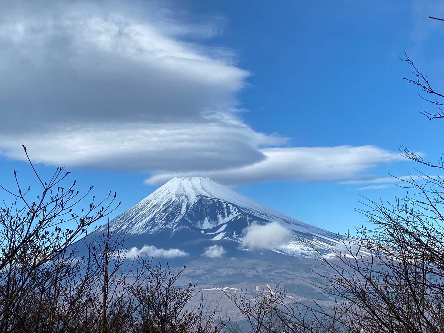 須山愛鷹登山口-富士見峠-黒岳-富士見台-越前岳-呼子岳 周回コースの写真
