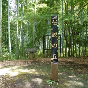 今日はグレーピークばかりです。
2つ目本堂山▲登頂