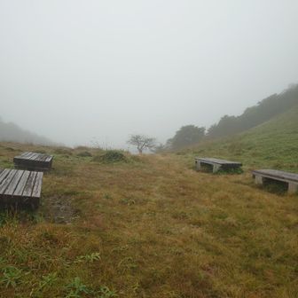 せっかくの休憩スポットなので
雨ですが小休憩。