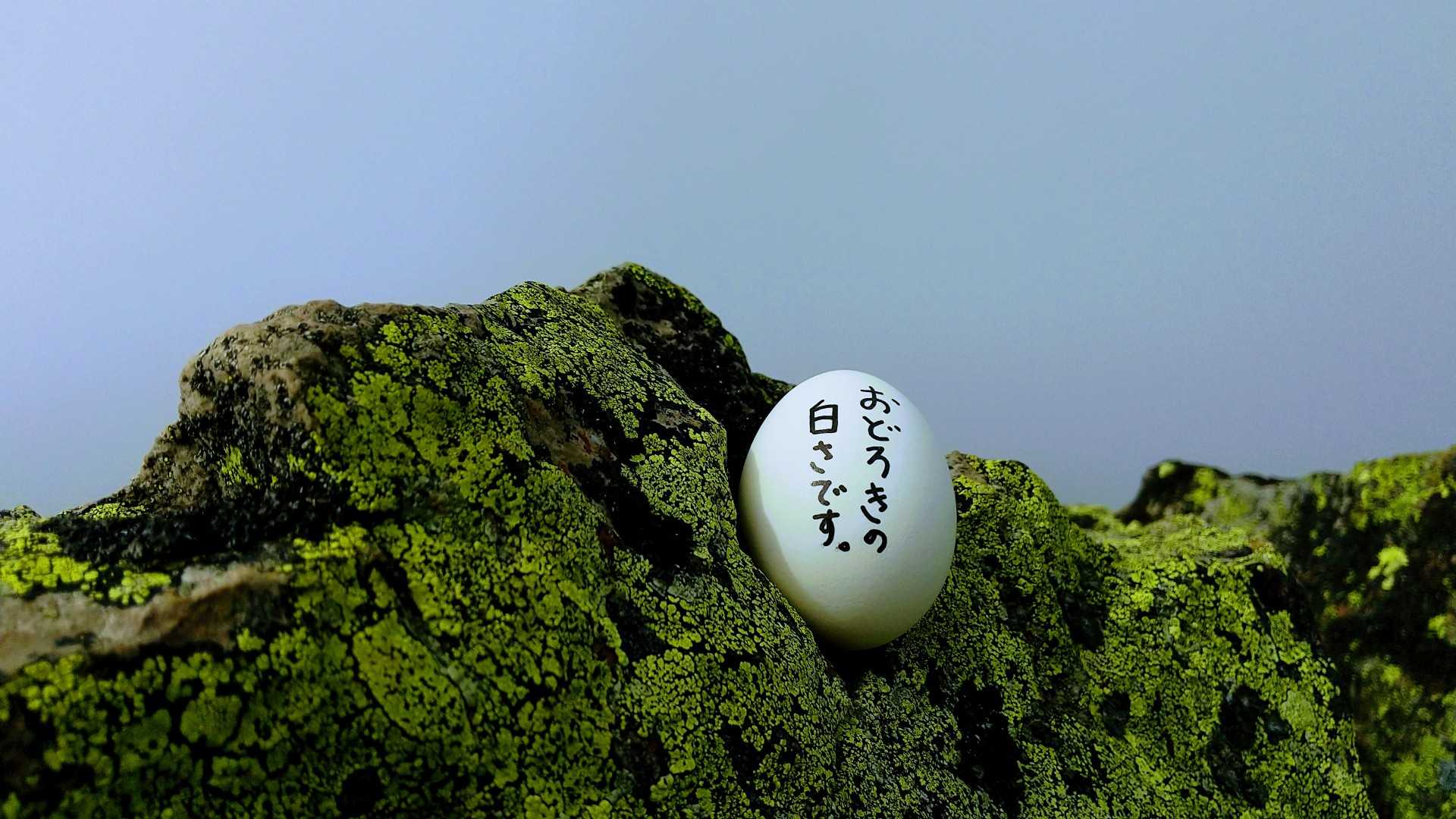 なにも見えない。