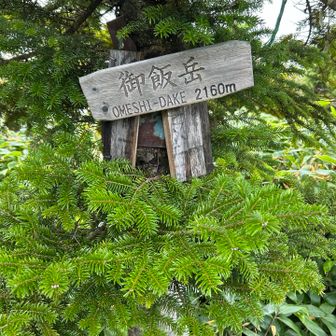 おめしだけと読むらしい。ゴハンじゃない。