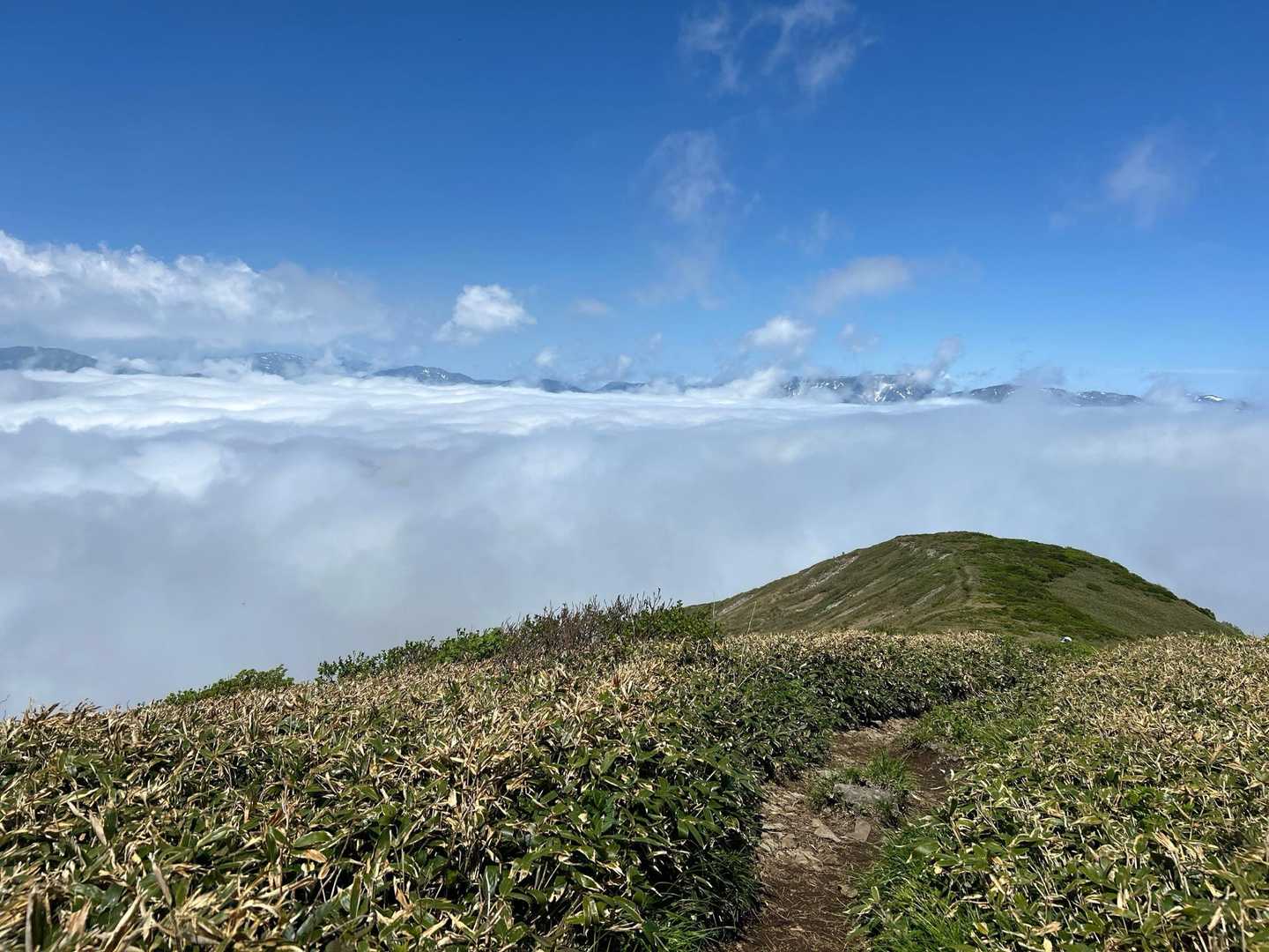 振り返ると雲海☁️☁️