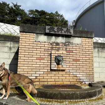 「飲料水」というので、じゃ水飲み休憩かな！と思ったら、水遊びでしたー