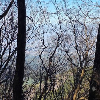 景色が見えそうで見えない。
落葉しているからかろうじて見えてる・・・のかな。