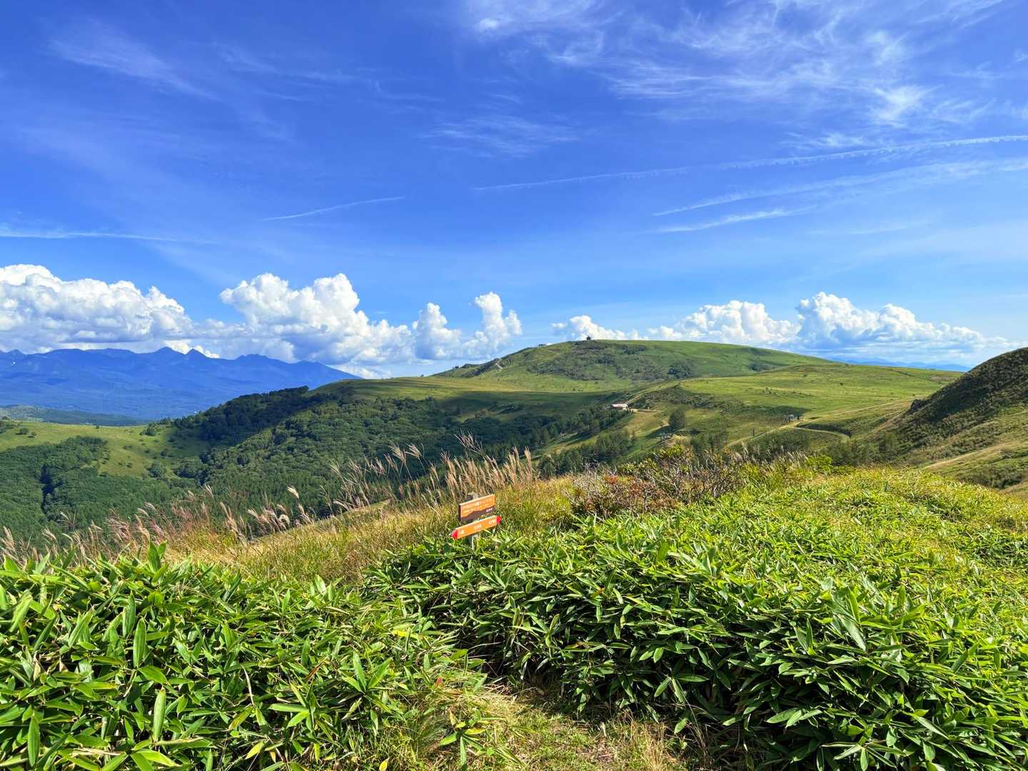 ココからも 車山⛰️が👀✨