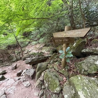 水場の分岐右は上宮、左は北谷方面