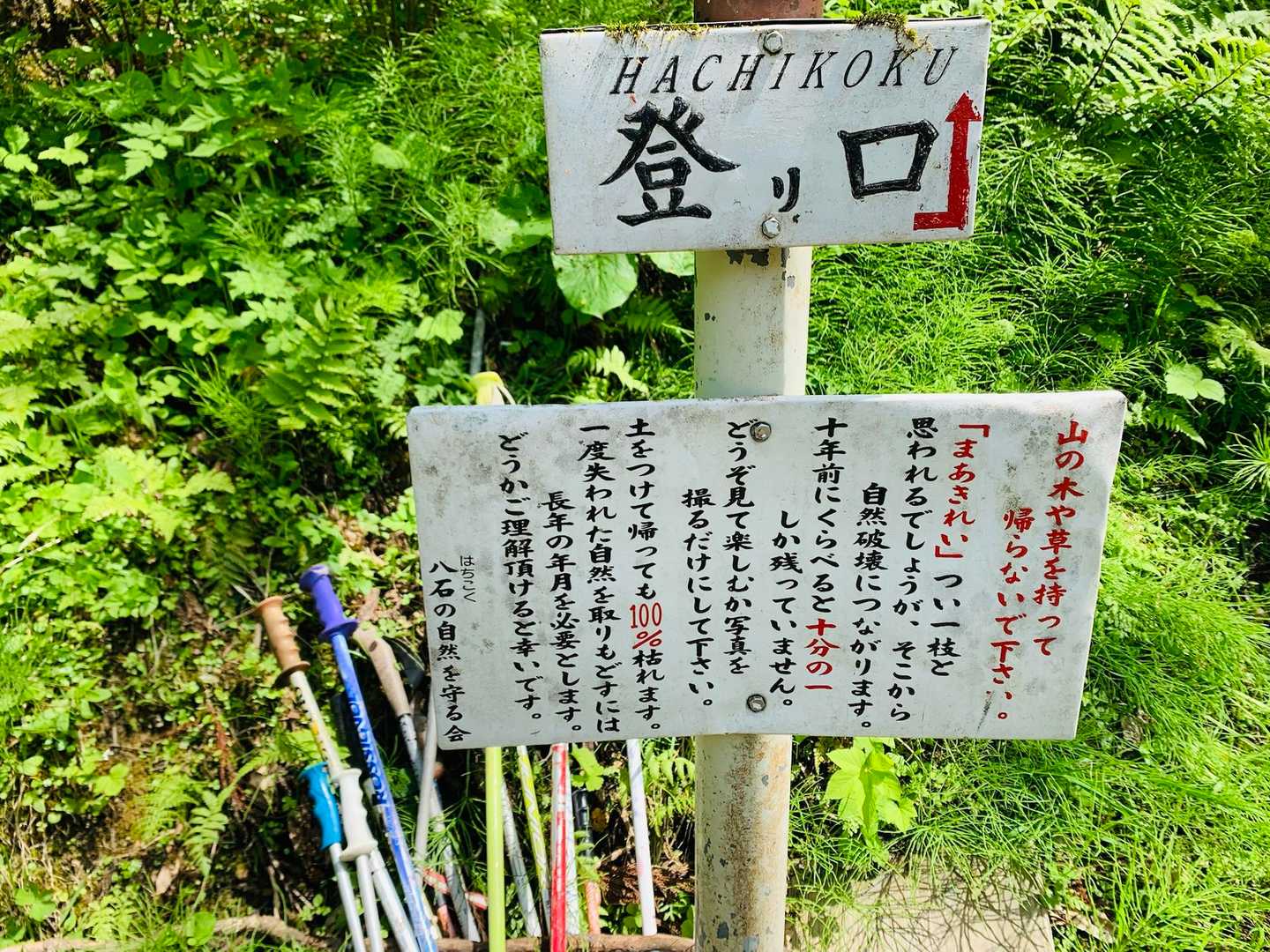  山の植物は持って帰らないで、写真を撮って楽しみましょう！