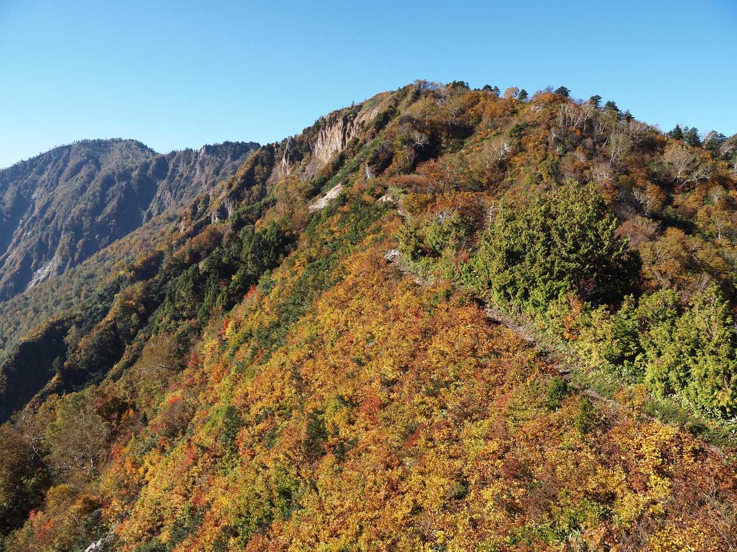 最初のピークかな🍁