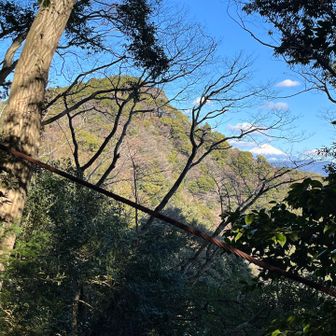 あれが安倍城址ですね。
右肩に富士山が見えます。