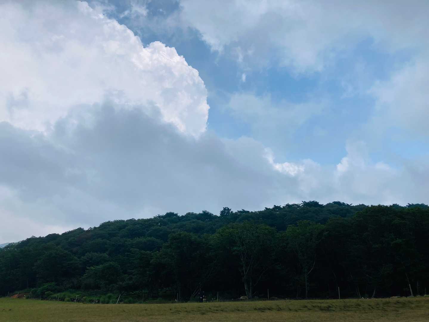 ようやく夏らしい空。