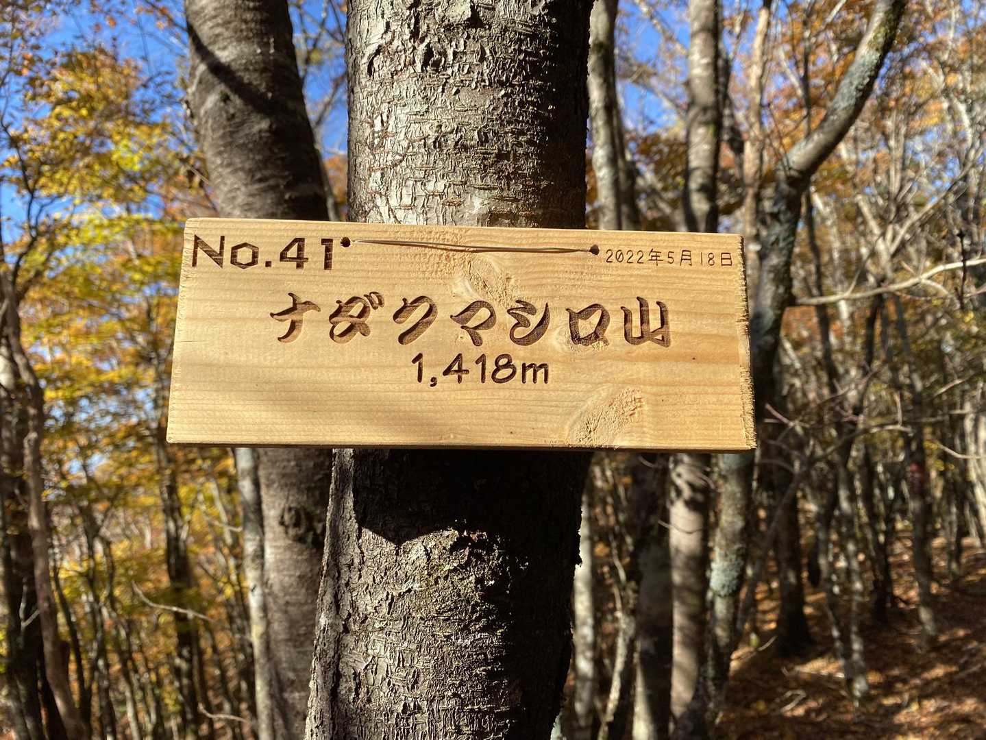 この付近の山に、新しい標識できたみたいですね‼️
