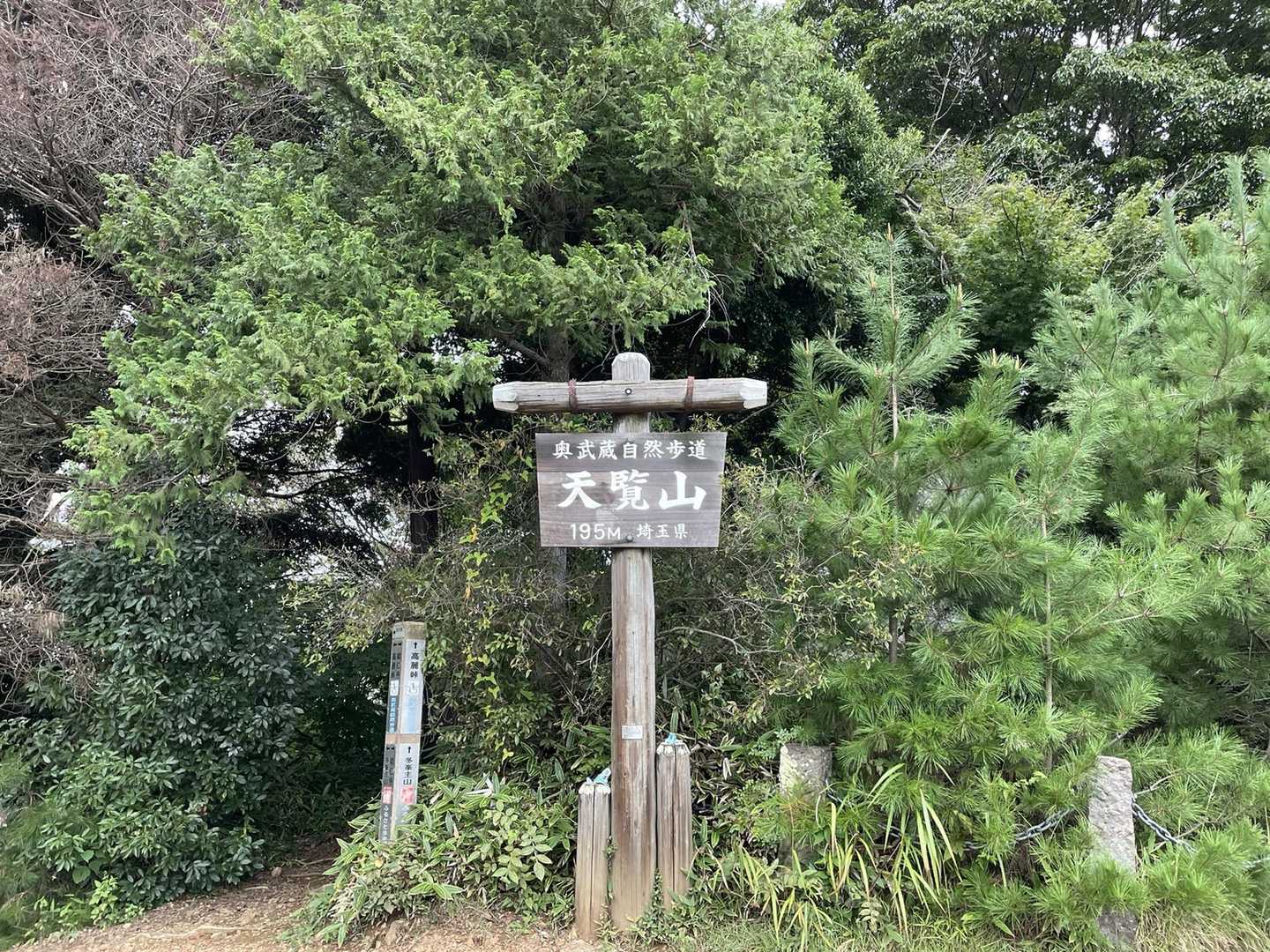 天覧山。
明治天皇が軍事演習を見に来たことが、今の名前の由来みたいです。