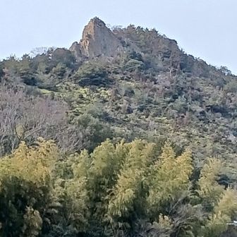 下山してから撮りました