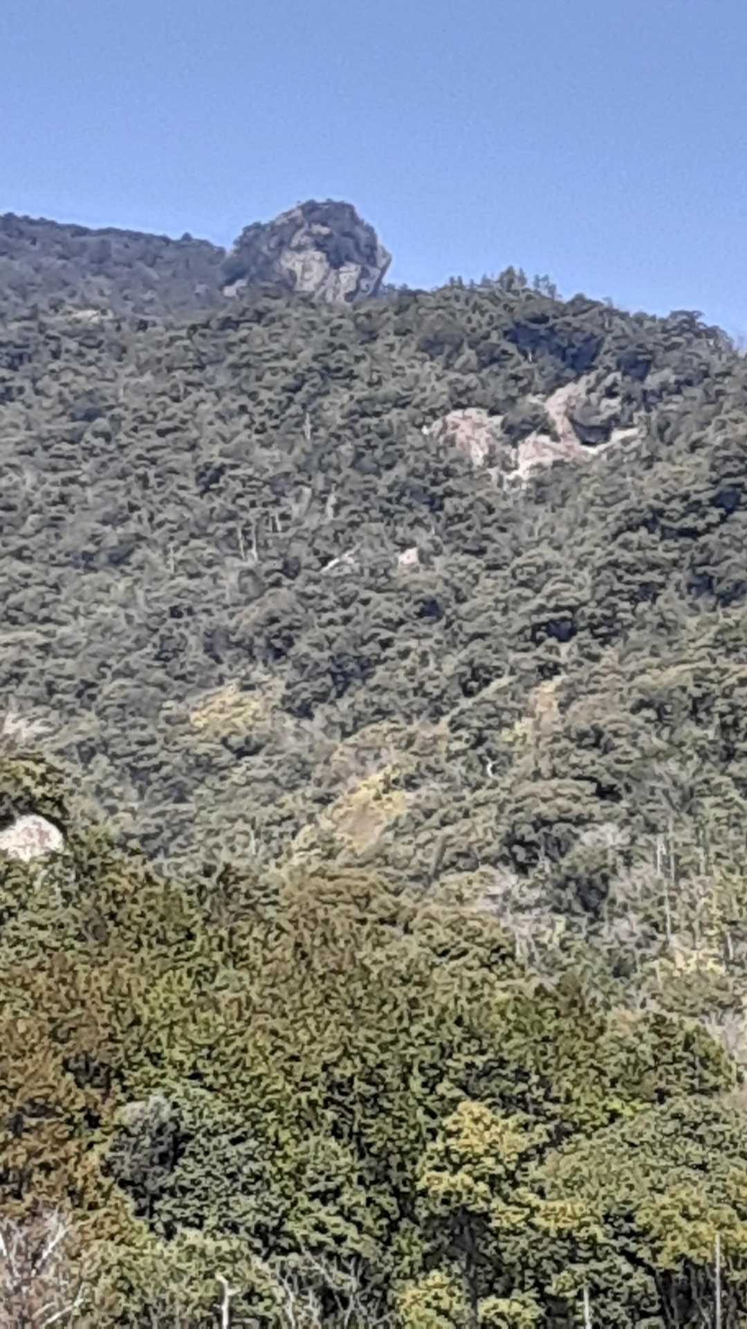 英山登山口-英山-本城岳-有田ダム登山口 周回コースの写真