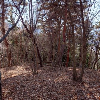 YAMAPルートの終端（富士見台）までやって来ました。
完全に時間の無駄でした😭
