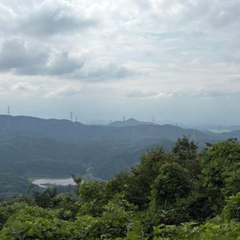 日光ファミリー
しばらく見えてないですね(´･ω･`)ｼｮﾎﾞｰﾝ