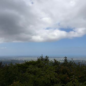 山頂海側