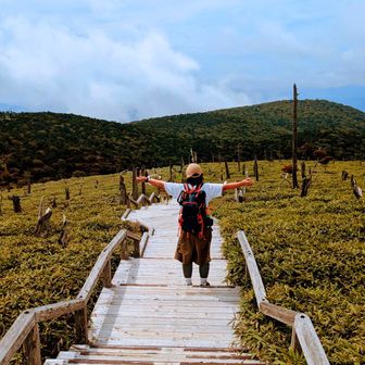 ご近所ハイカー🐤