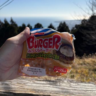 さっきおやつ食べたばかりだけどランチタイム？🍔