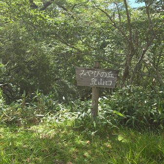 みやびの丘登山口