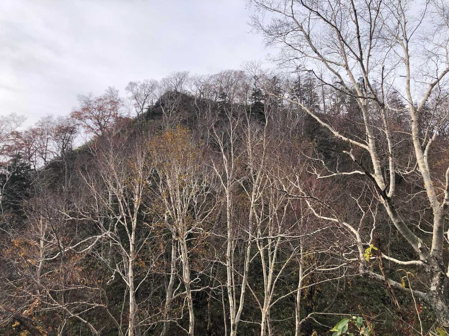 途中、山頂が見えます😳