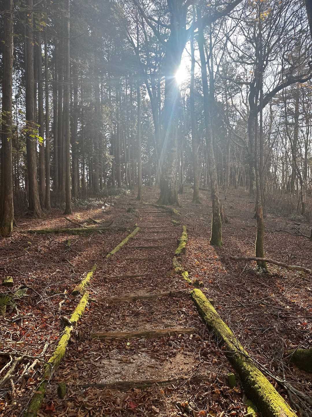 こんな歩きやすい⛰️のんびり嬉しいな