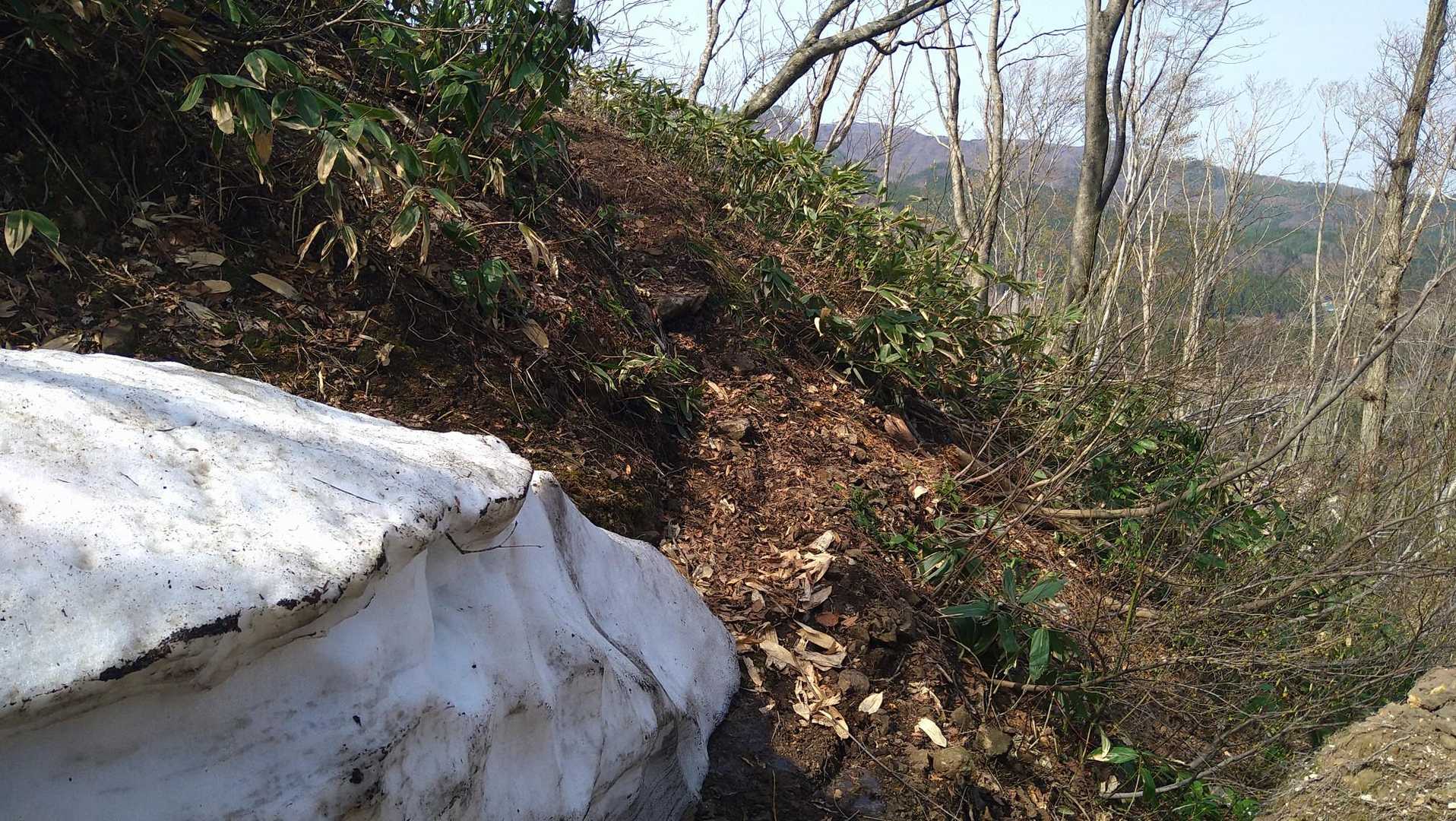 登山道は里山あるあるで結構急登だな〜残雪もあり🐜