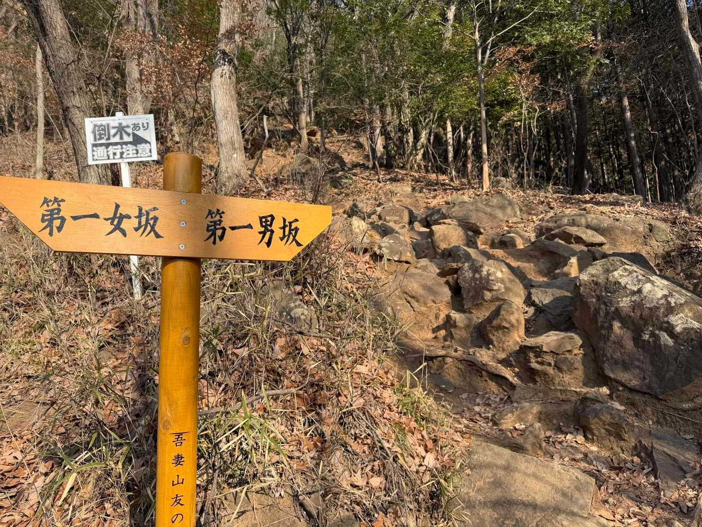 分岐、もちろん男坂を登ります