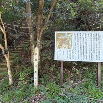 真山下山したら、すぐ目の前が白鹿山登山口。
